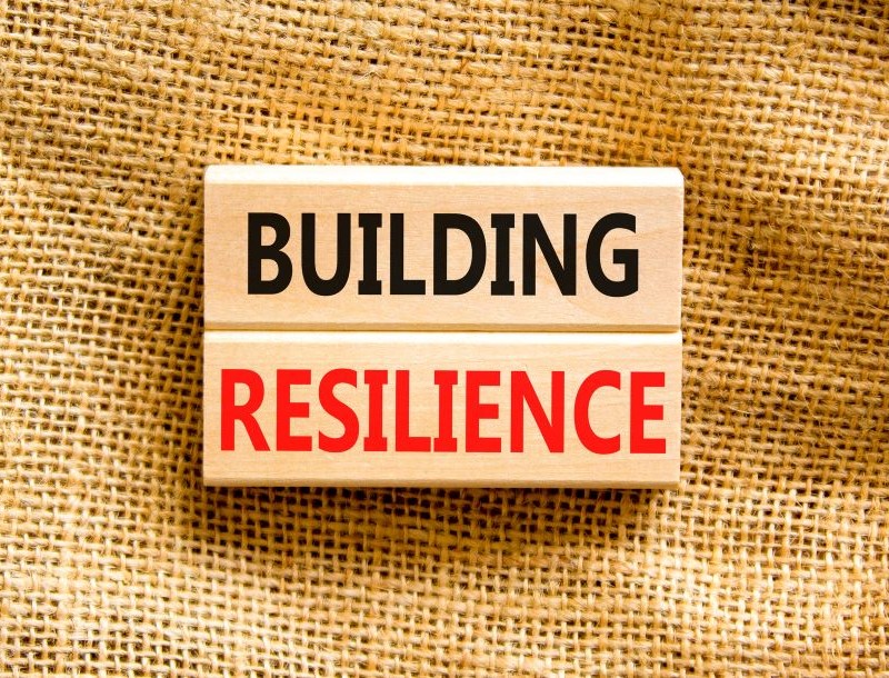 Building-resilient-organisations